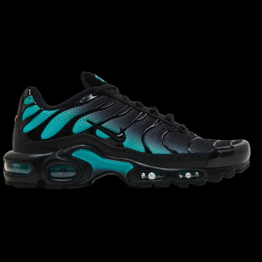 Air Max Plus 'Black Dusty Cactus'