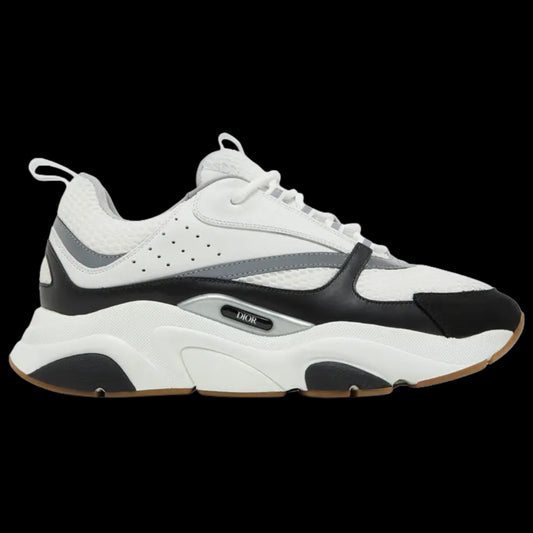 Dior B22 'White Black Gum'