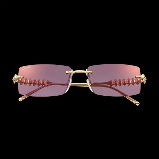 Lunettes Cartier 2